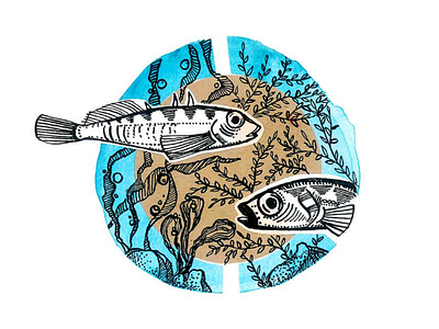Sticklebacks Illustration collage composition fish illustration ink miniature stickleback underwater watercolor