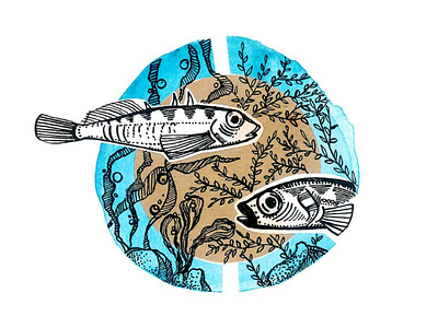 Sticklebacks Illustration