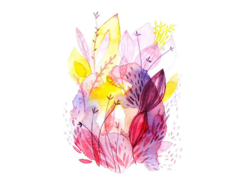 Floral Illustration flowers floral abstract contrast composition rhythm shapes colours watercolor illustration illustrator