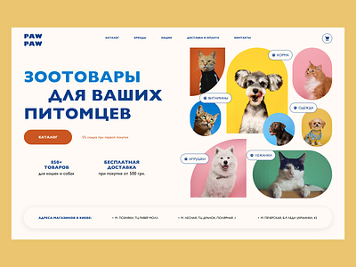 Pet Store Concept concept design e commerce pet