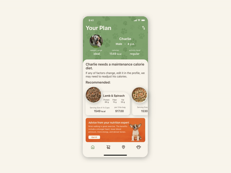 Pet Food Delivery App by Anastasia Stepanova on Dribbble