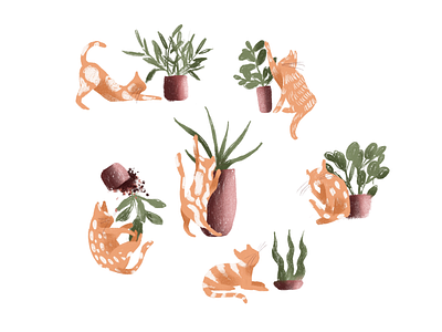 Curios mew cat illustration plants procreate