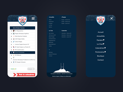 Rugby Web Design / Responsive Design illustration javascript mobile responsive web wordpress