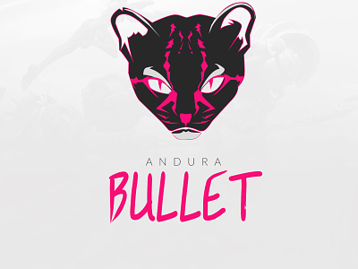 Andurá's Bulle Esport team design logo