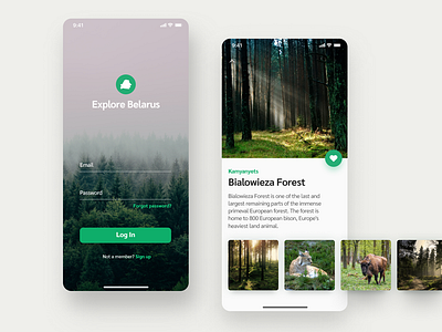 Explore Belarus animals belarus dark app design app forest green interface design iphone x login mobile mobile app design nature pictures travel app ui wild беларусь дизайн зеленый лес