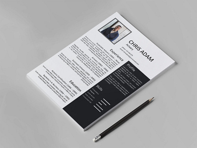 Free Actuary Resume Template