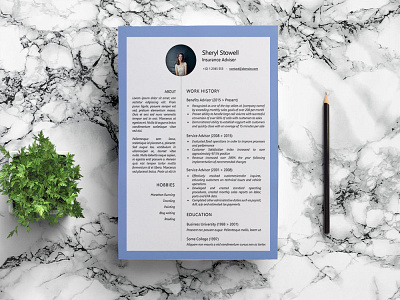 Free Insurance Advisor Resume Template