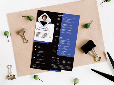 Free Designer Resume Template Set