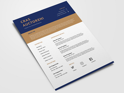 Free CV/Resume Template