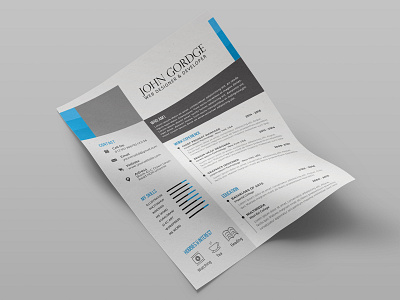 Free Clean and Modern Curriculum Vitae Template