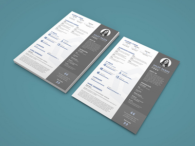 Free Architect Resume Designs Themes Templates And Downloadable Graphic Elements On Dribbble