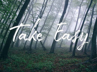 Take Easy - Free Dry Brush Font