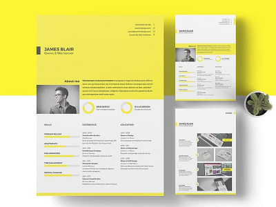 Free Multifunctional Resume Template