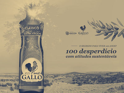 Gallo - Sustainability Campaign advertising gallo glass graphic design olive oil recycle sustainability