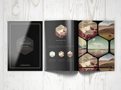 Multipurpose Portfolio Brochure a4 architecture catalog clean color elegant indesign letter minimal modern multipurpose urban