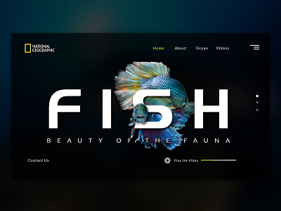 Beauty Of Fauna branding design graphic design graphic designer illustration logo typography ui ux vector