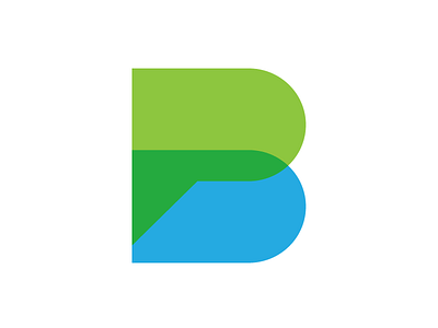 Paybridge branding logo logomark