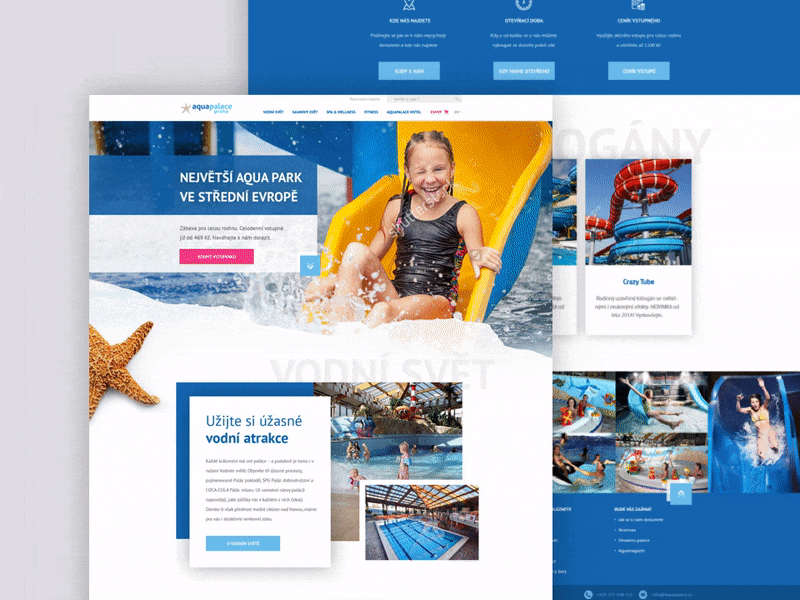Aquapalace design concept aqua blue clean design palace pool swimm swimming ux water webdesign white