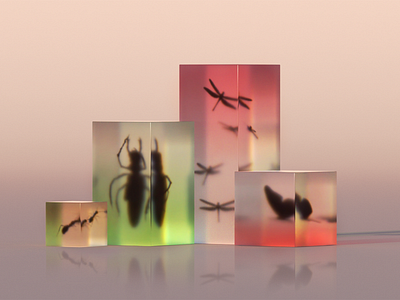 Bugzzzz 3d animal art artist artwork c4d clean colorful creative digital glass graphic design illustration low poly minimal minimalism modern octane photoshop render