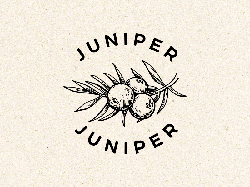 Logo for comunity "JUNIPER"