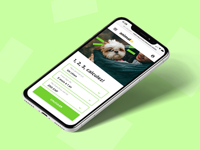 Animalia - Desktop&Mobile design w/Marvelous cat colorful design dog figma insurance mobile mobile app pet ui user interface ux uxui
