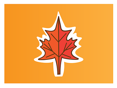 Maple Leaf fall illustration illustrator leaf leaves maple maple leaf sketch