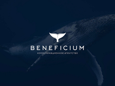 BENEFICIUM, коммуникационное агентство брендинг графический дизайн дизайн копирайт лого логотип студия дизайна фирменный стиль фотошоп
