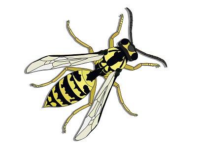 wasp for printing on t-shirts art design flat illustration logo textile vector wasp