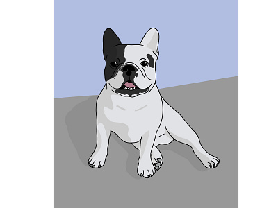 Funny french bulldog