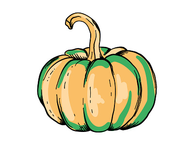 Pumpkin vector illustration