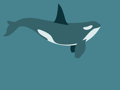 orca 2d design fish illustratie illustration illustrator mammal ocean orca orka sea sketch underwater vector vector design
