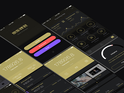 JD Wallet app design icon ux ui