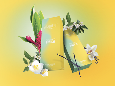 Gradient Perfumes : Secret Smile