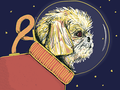 Burt Spacedog dogs illustration procreate shitzu space