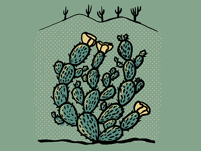 Cactus Series - Image 07