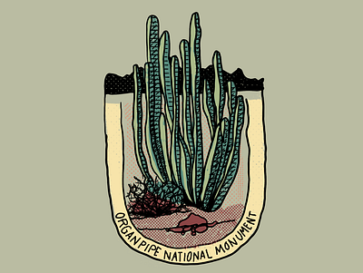 Cactus Series - Image 06 branding cactus design graphic designer illustration illustration series lettering michigan national park service national parks organ pipe national monument procreate vector