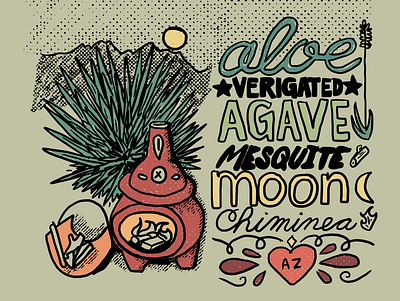 Cactus Series - Image 3 arizona cactus chiminea design graphic designer illustration lettering michigan procreate vector