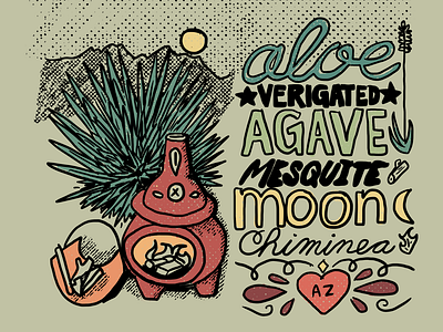 Cactus Series - Image 3 arizona cactus chiminea design graphic designer illustration lettering michigan procreate vector