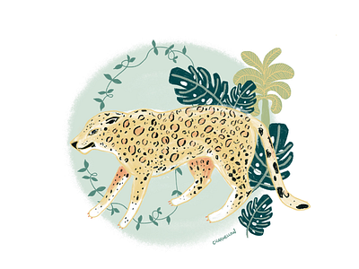 Big Cats: Leopard 🐆 animal illustration big cats cats designer illustrator illustration jungle cat leopard meow michigan designer