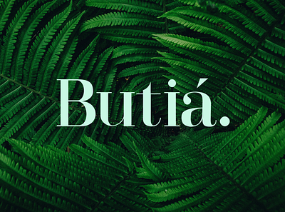 Butiá - Enviromental Blog branding branding and identity design logo typography