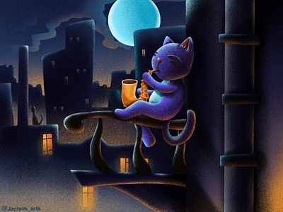 Night Cat musician