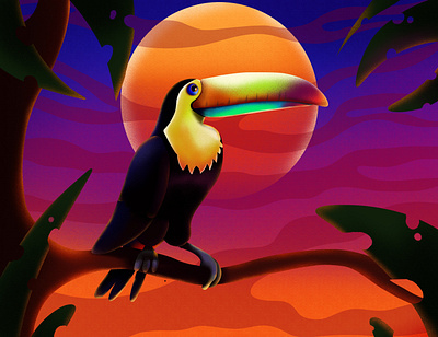 Toucan animals art artist artwork brush childrens book colors digitalart illustraion procreate