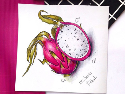 dragon fruit illustration marker sketch sketch sketchbook