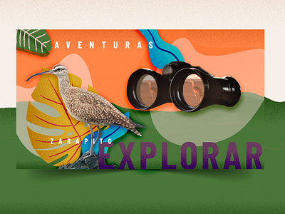 Ala Aventura animation birds brand branding brandingtv collage design graphic design illustration motion graphics motiontv tv
