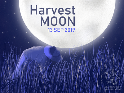 Harvest Moon astronomy moon moonlight night space