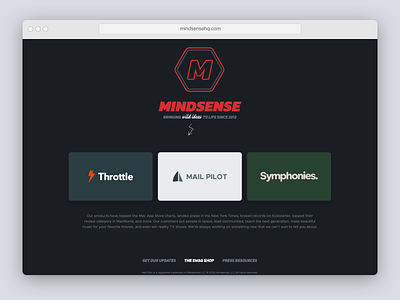 Mindsense website, simplified company landing page website