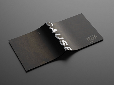 CAUSE • Conceptual Publication concept conceptual design design publication publication design typesetting typography