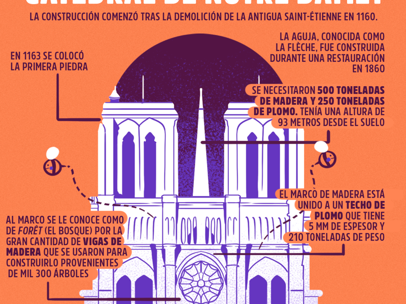 Infografia sobre Notre Dame architecture notre dame infography illustration