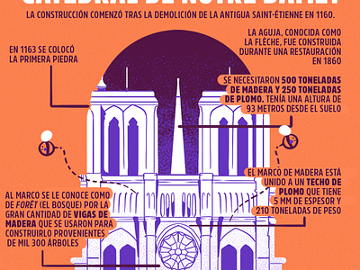 Infografia sobre Notre Dame architecture illustration infography notre dame