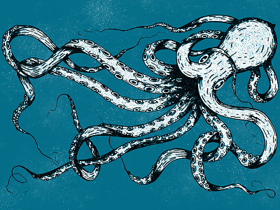 Octopus illustration character drawing handmade illustrate illustration ink pen sketch vector